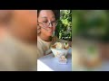 That Little Puff | Cats Make Food 😻 | Kitty God & Others | TikTok 2024 #45