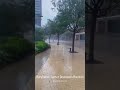 Beryl Winds Batter Downtown Houston