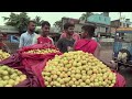 দেশসেরা নরসিংদীর লটকন || Panorama Documentary
