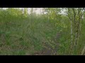 4K HDR Forest Walk with Scenic Views and Nature Sounds - Spring in Southern Ural Mountains