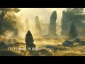 Irish traditional music 🍀 | Whispers of the Sidhe vol.1 · Full album | 50 minutes