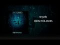 Royalty Free Metal | From The Ashes by Sinyells (with lyrics)