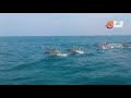 Wild Moments | Sprinters of the Sea