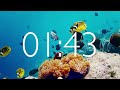 10 Minute Timer with Relaxing Music and Alarm