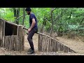 Building small Hut | Shelter in the woods | Bushcraft Survival