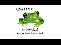 Silverchair - Undecided - Guitar Backing Track
