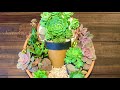 Succulent Arrangement in Terracotta Pot within a Pot