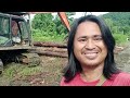 proses mengeluarkan kayu balak dari hutan