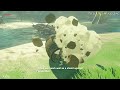 Octoballoon Absurdity, & Smuggling Glitches | BotW Glitches & Tricks