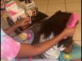 How To Prepare 4 Full Relaxer 101 Virgin Mixed/Multi-cultured Hair 4 Healthy Results. FOLLOW ALONG!