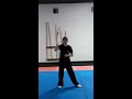 Kung Fu chain whip