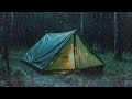 Within 3 Minutes You Will Fall into an Instant Sleep with Heavy Rain on Tent in RainForest At Night
