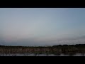 Purple martins at Nimisilla Lake,  Akron OH