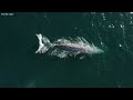 Alaska 4K UHD - Scenic Relaxation Film With Peaceful Music and Nature Scenes - 4K Video Ultra HD