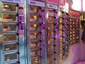 Just Drop it in the Slot; a Look at the Horn and Hardart Automat and its Legacy