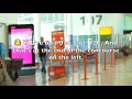 Travel English - At the Airport - How to Go Through Customs and Check in