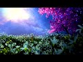 DEEP RELAXATION- BINAURAL MEDITATION FOR STRESS RELIEF, DELTA WAVES, ALPHA WAVES