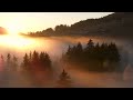 Beautiful Relaxing Music - Stop Overthinking, Stress Relief Music, Calming Music, Sleep Music