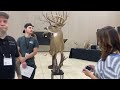 National Taxidermy Competition 2022 - Showroom Walkthrough
