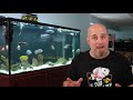 Top 5 Ways To MAKE MONEY Fish Keeping, Turn Your Hobby Into Income!