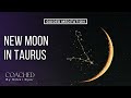 New Moon Meditation | GUIDED MEDITATION