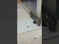 some glass door problems report