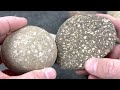 Rock Identification with Willsey: Intro to Sedimentary Rocks!