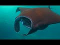 AQUARIUM 4K ULTRA HD [60FPS] - Relaxing Music With Underwater Wonders - Scenic Relaxation 4K