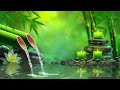 Relaxing Music to Relieve Stress, Anxiety and Depression 🌿 Heals The Mind, Body and Soul #21