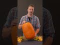 Three Styles of Pumpkin Carving