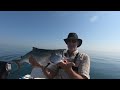 Solo salmon fishing on Lake Ontario 2023   HD 720p