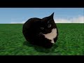 Maxwell the Cat dance 1 hour