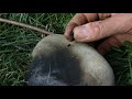 Making primitive birch tar glue, the simple way 🔥