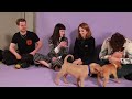 The Cast of Stranger Things Plays With Puppies