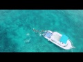 Chasing Boats - Isla Mujeres / Cancun Mexico