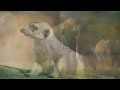 [4K UHD] Beautiful Wildlife Animals and Relaxing Music for Stress Relief