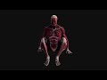 HUMAN BODY vs IMPLOSION animation