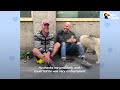 Husky Becomes Obsessed With Man Living On The Street In Paris | The Dodo