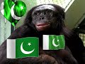 dil dil pakistan