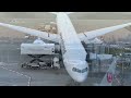 🇯🇵  FLIGHT EXPERIENCE  American Airlines Boeing 787-8 Dreamliner  Tokyo→Dallas  Main Cabin