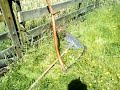 Scything a small orchard in NZ Part 1
