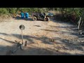 Tree Farm Drone Footage - Part 5