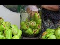 🫑 Stuffed Bell Pepper: Pickling and Outdoor Cooking