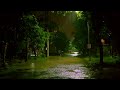 🔴 Heavy Rain Storm NoThunder Sounds for Sleeping   SLEEP & RELAXATION