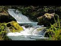 Calm and Peaceful Piano Music - Waterfalls in the Forest
