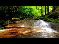 Relaxing Sounds of Water Stream