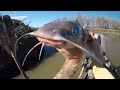 Fishing With Dollar Store Steaks!