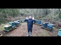 How To Start Beekeeping in 2024