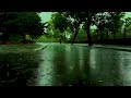 Fall Asleep with Torrential Rain and Thunderstorm Sounds | Heavy Rain Sounds for Sleeping, Relaxing