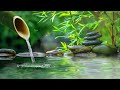 Relaxing music to relieve stress with bird sounds, relaxing Piano, bamboo fountain, Spa, BGM